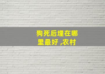 狗死后埋在哪里最好 ,农村